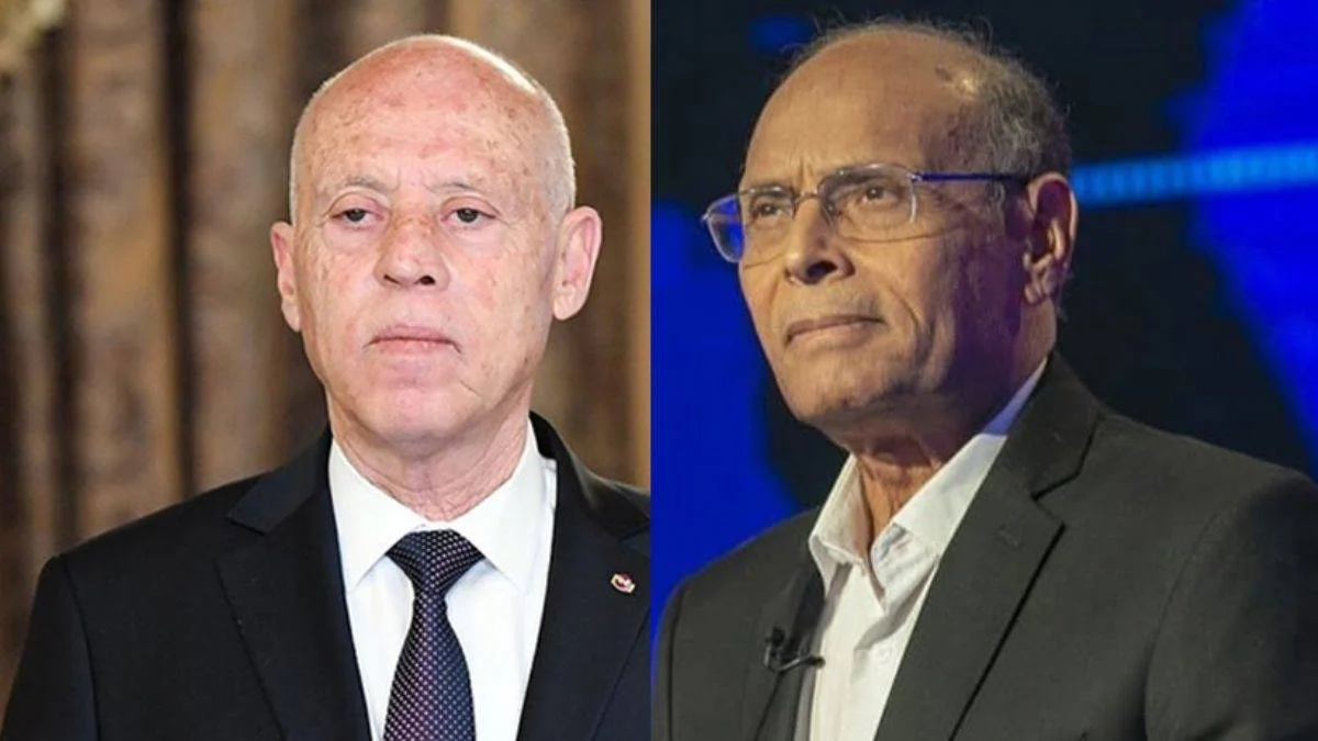 Merzuki: Said'i Tunus'un meşru Cumhurbaşkanı olarak görmüyorum