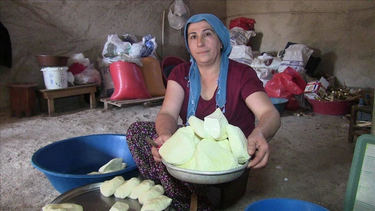 Mikro krediyle başladı, yurt dışına peynir gönderiyor