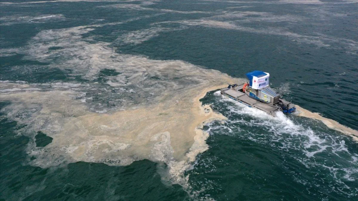 Müsilaj tekrar olur mu? Marmara'da müsilaj (deniz salyası) yeniden çıkar mı?
