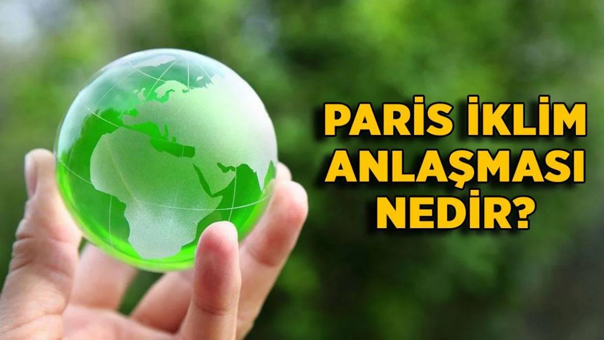 Paris İklim Anlaşması nedir? Paris İklim Anlaşması maddeleri ve amacı nedir?