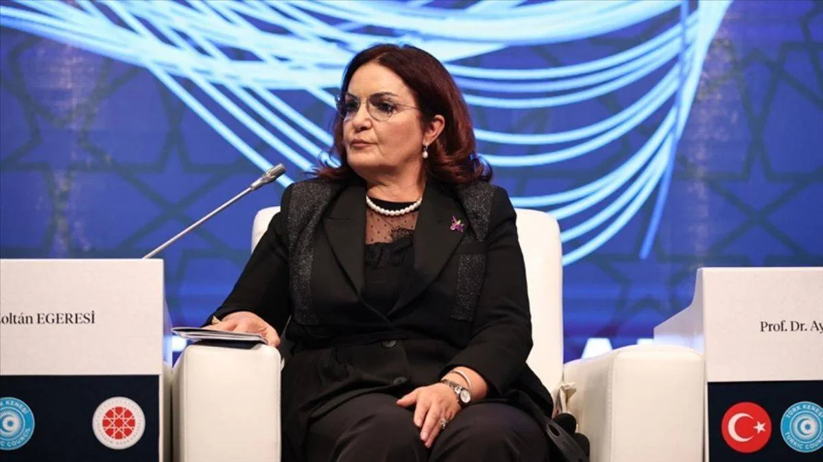 Prof. Dr. Attar: Karabağ'da 40 milyona yakın kitap ve tarihi eser tahrip edildi