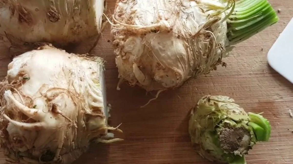 Saksıda kereviz yetiştirmeyi denediniz mi?