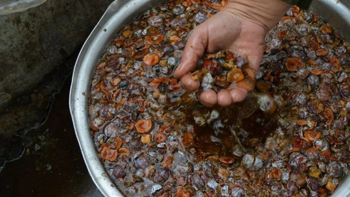 Tam bir şifa deposu! Gece bir kaşık içtiğinizde...
