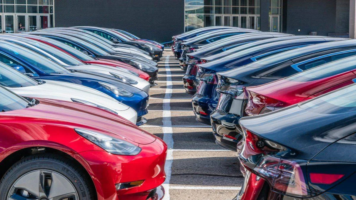 Tesla'dan rekor kar ve gelir açıklaması