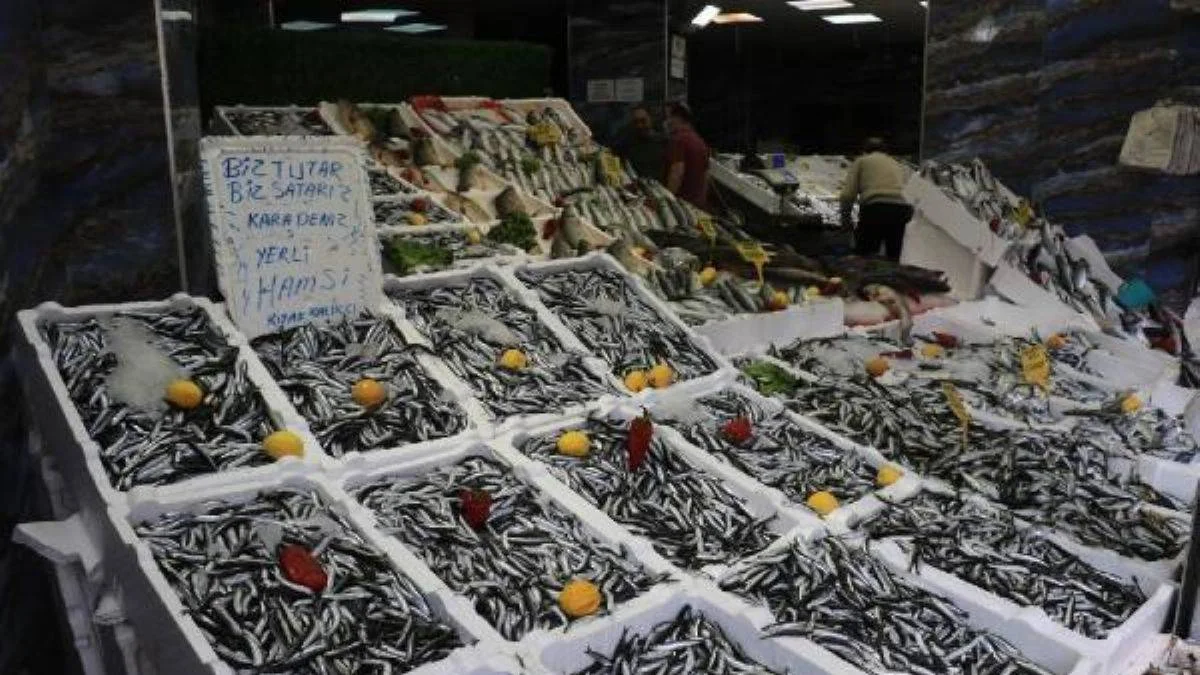 Tezgahlarda hamsi bolluğu: Fiyatı 15 liraya geriledi