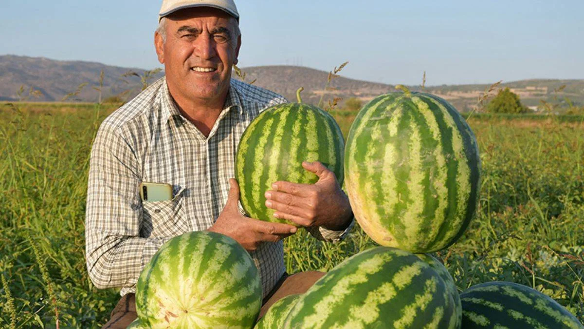 Türkiye'nin karpuz ihracatı 9 ayda 21 milyon doları geçti