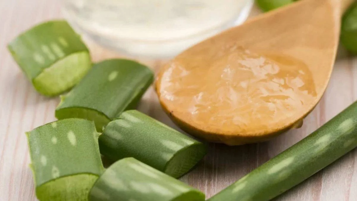 Aloe vera cildinizi gençleştiriyor