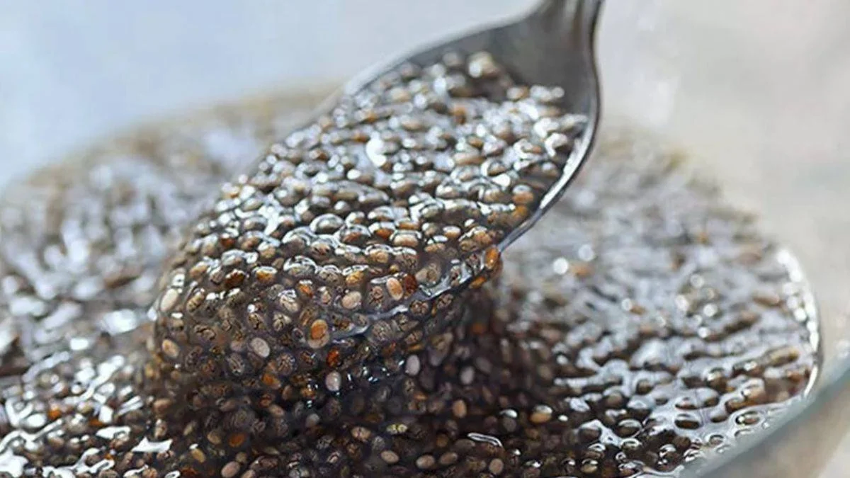 Chia tohumu kanserli hücre oluşumunu önlüyor