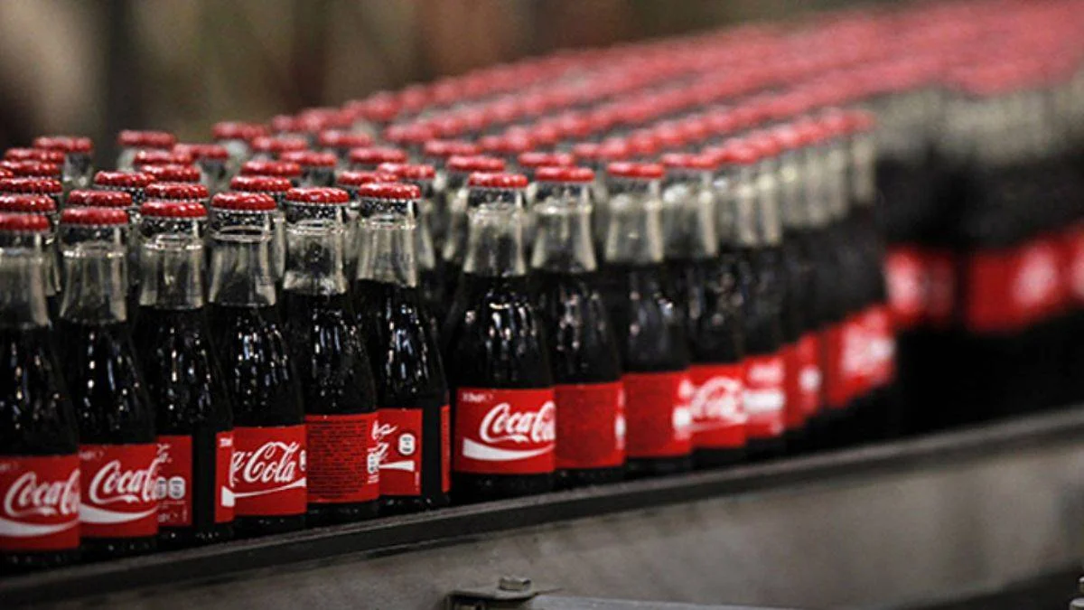 Danıştay'dan Coca-Cola kararı: İçeriği araştırılsın