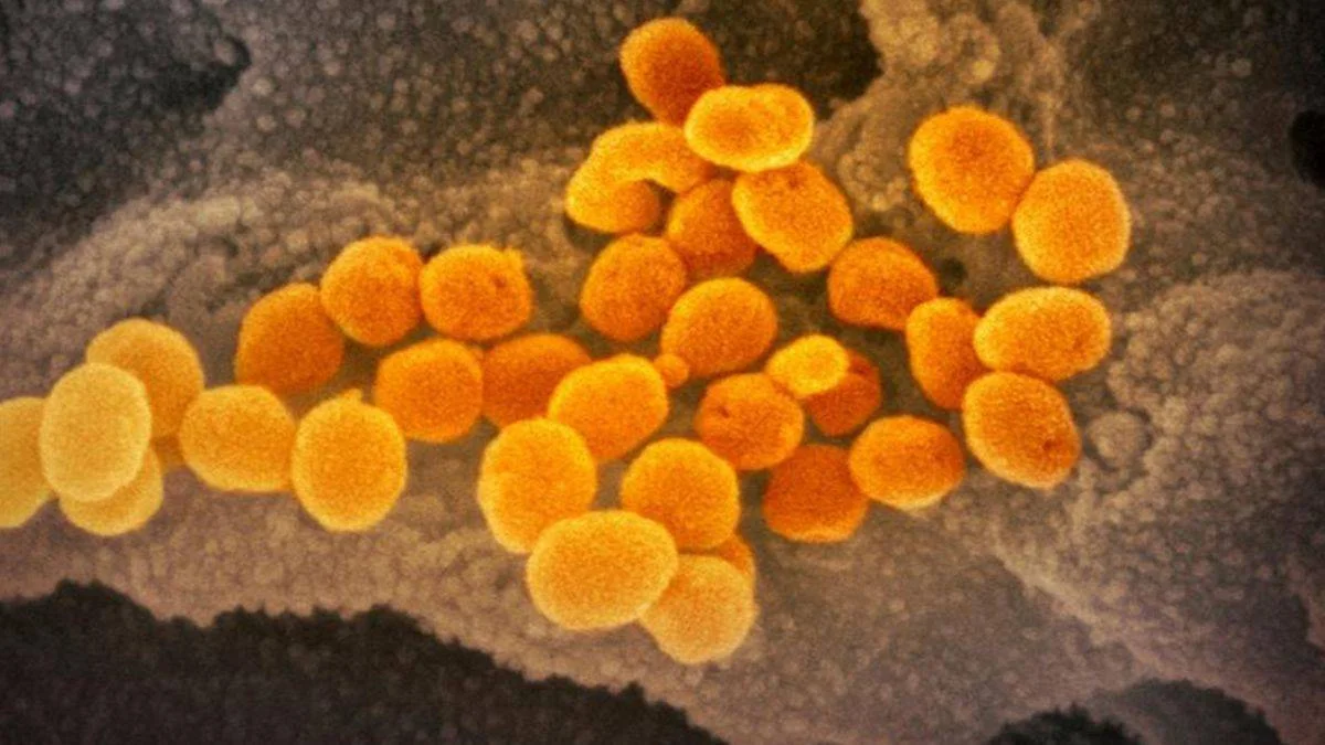 Dünyada Omicron endişesi büyüyor
