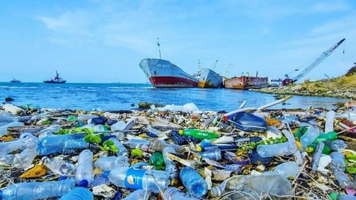 Dünyanın plastikle imtihanı