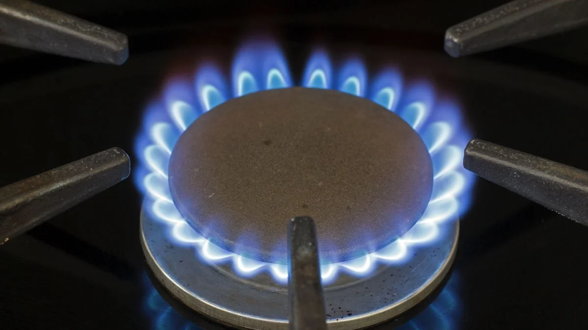 Gazprom, enerji krizinden rekor seviyede kârlı çıktı