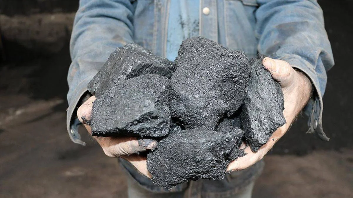 'Kara elmas'ı ülke ekonomisine kazandıran Uzun Mehmet'in öyküsü