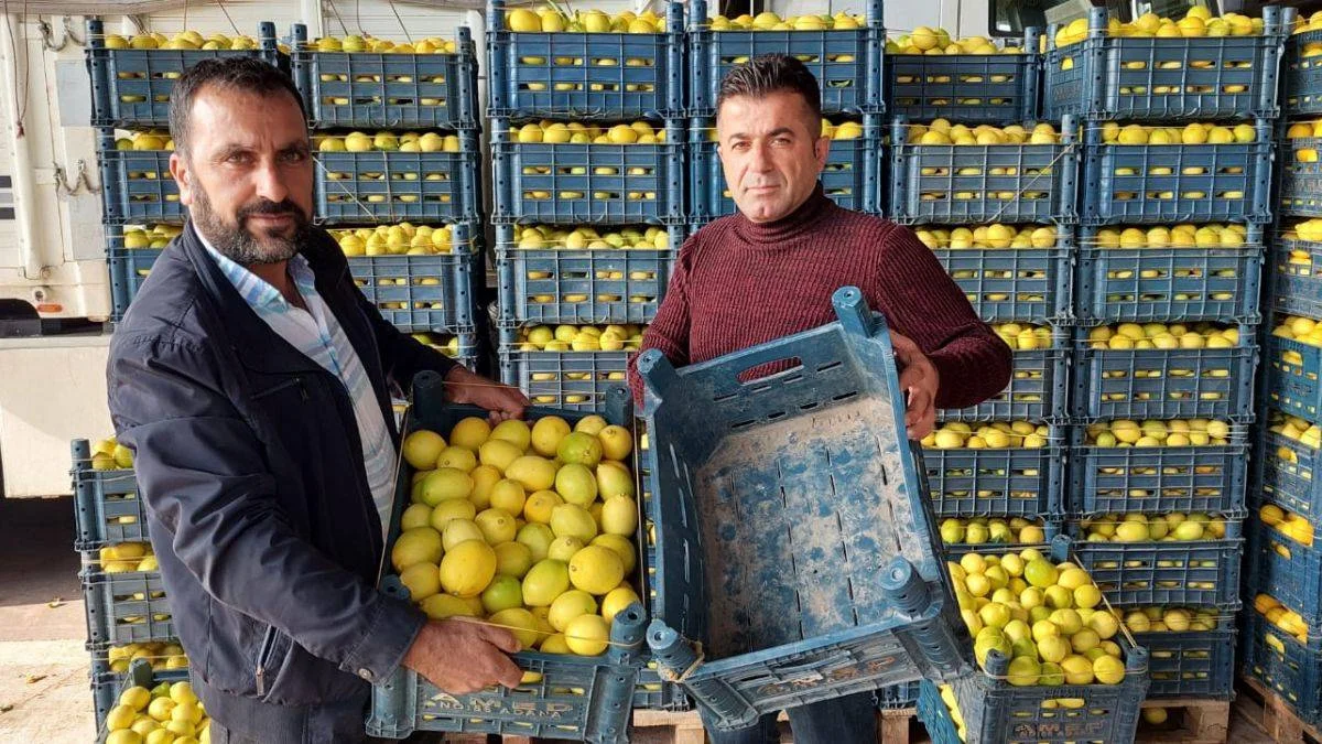 Limon kasadan ucuz, suyu da sudan ucuz!