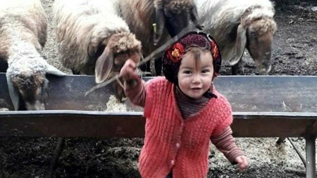Müslüme'den acı haber geldi! Müslüme Yağal'ın cansız bedeni bulundu