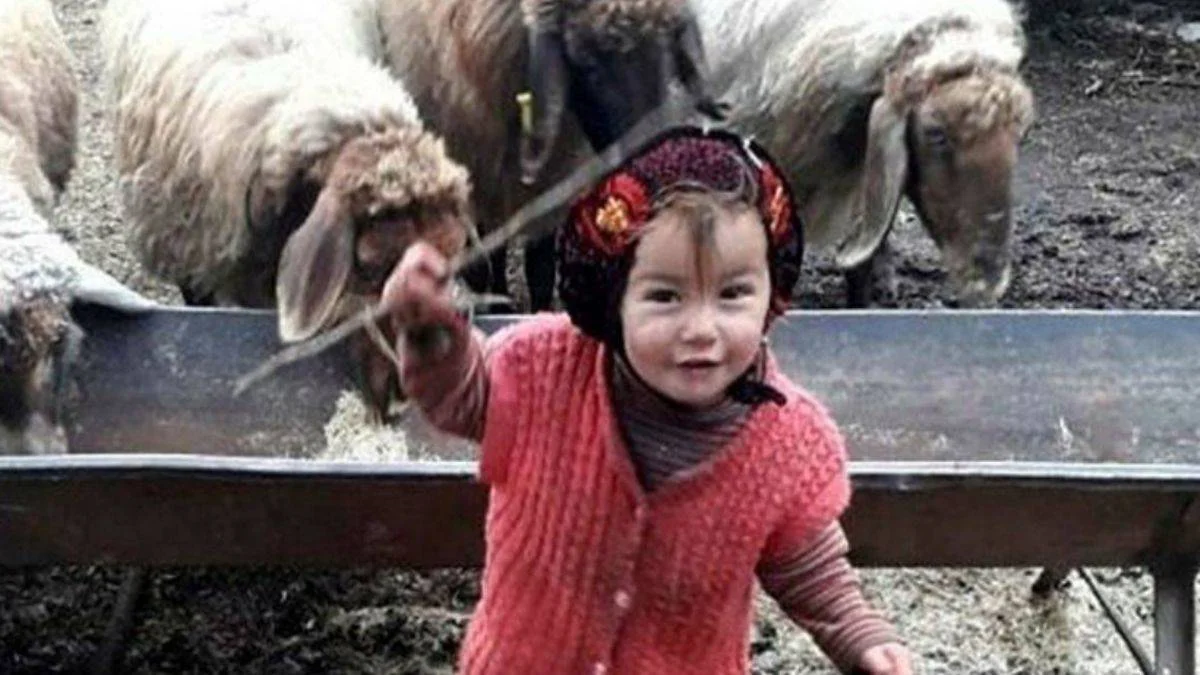Müslüme'nin dedesi neden tutuklandı? Abisi ve annesinden açıklama