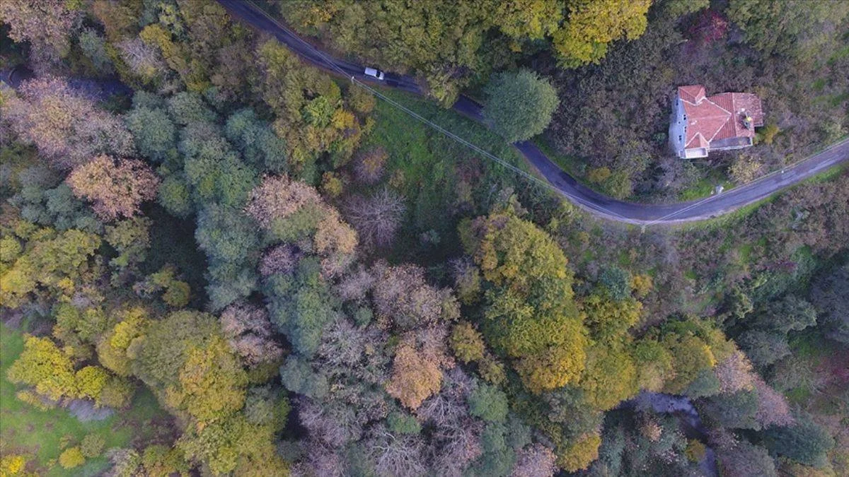 Ormana bitişik parselde yapı inşa edilemeyecek; yeni yönetmelik ne diyor?