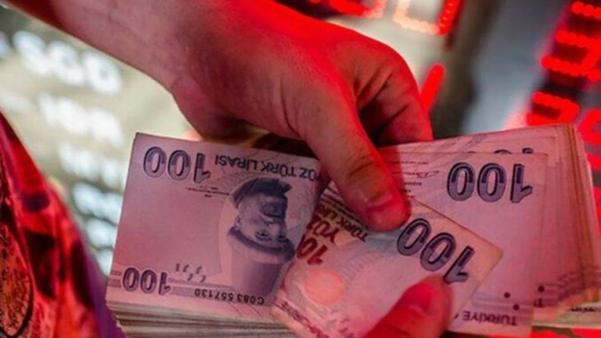 Serbest ve kontrollü kambiyo rejimi