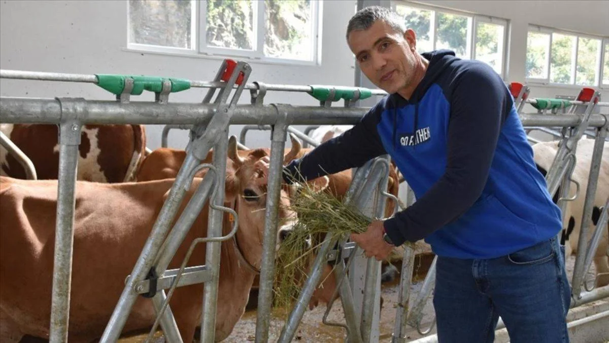 Trabzonlu öğretmen TKDK desteğiyle çiftlik kurdu