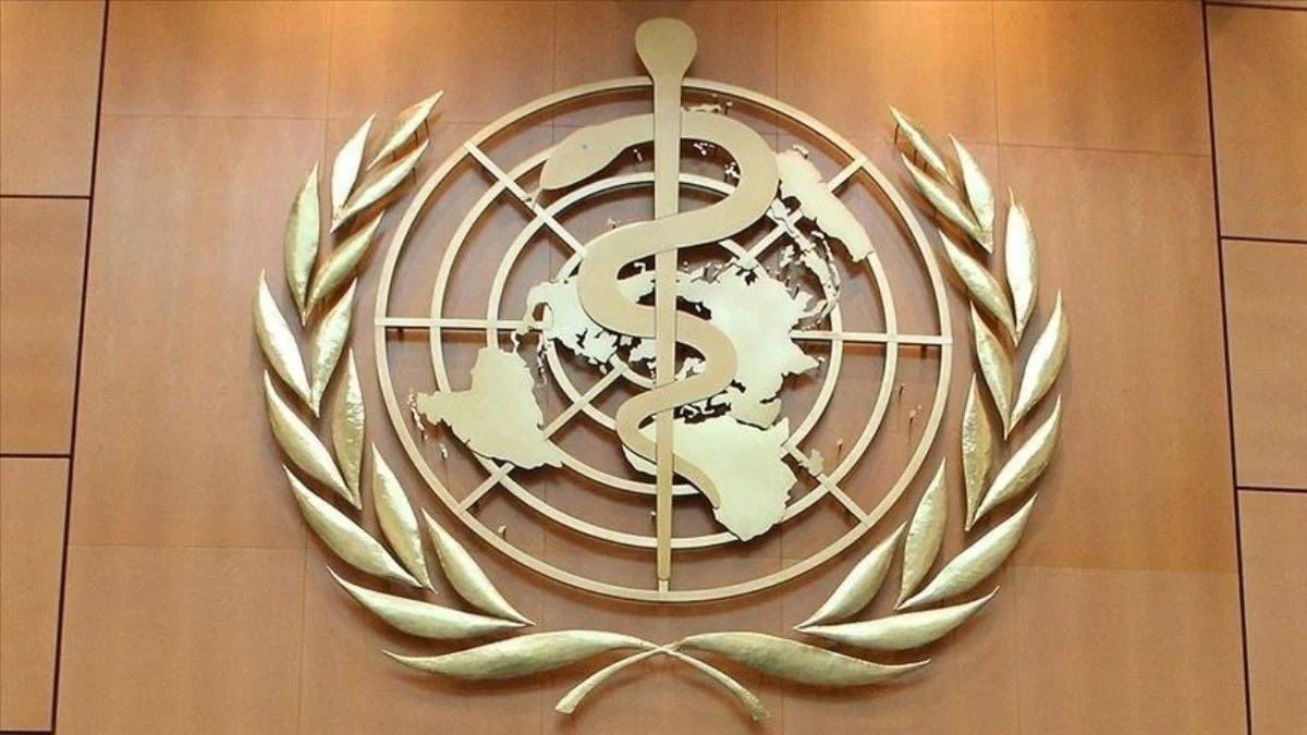 Uzmanlar, salgınların daha iyi incelenmesi için DSÖ'nün yetkilerinin artırılmasını istiyor