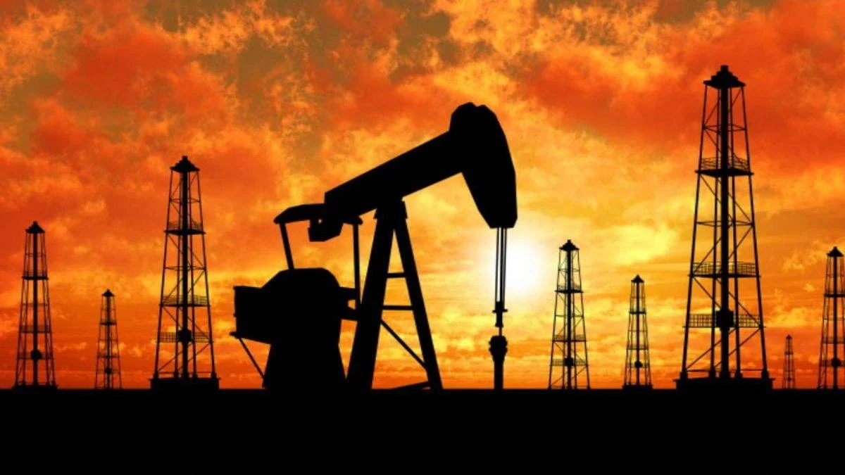 Varınca-1 kuyusu nerede? Varınca-1 petrol kuyusu hangi ilde? Varınca nerede?