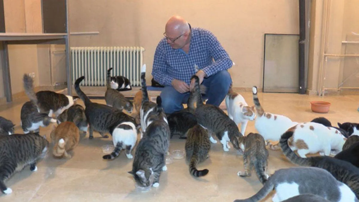 133 kedili beyaz eşya mağazası