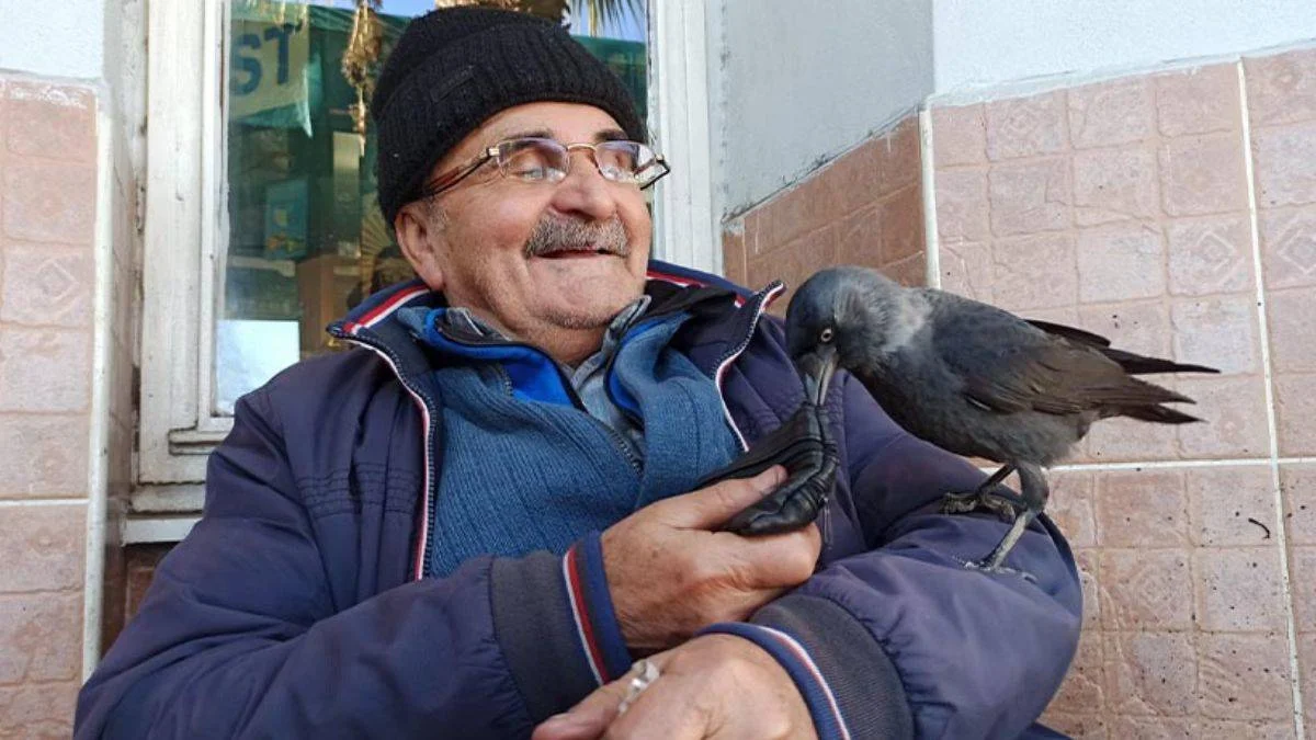 Ayakkabı boyacısı ile karganın şaşırtan dostluğu