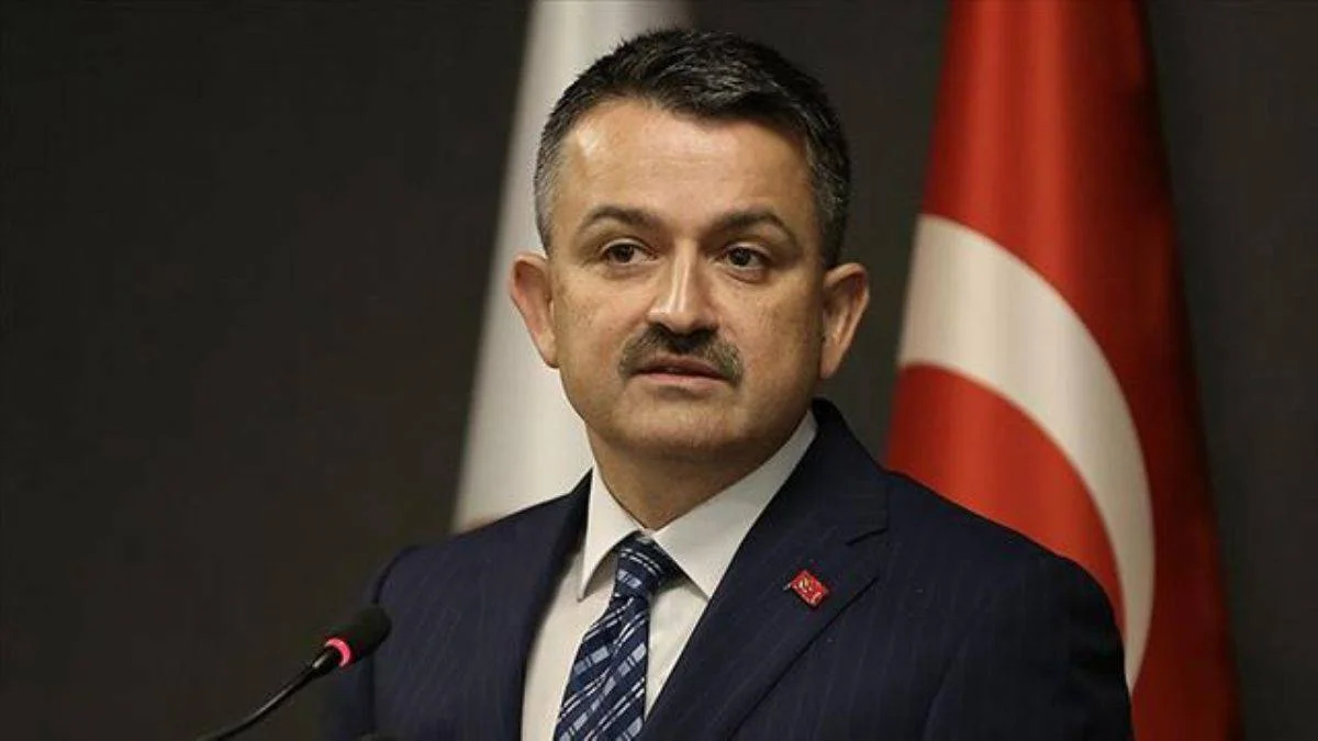 Bakan Pakdemirli duyurdu: Ödemeler bugün başladı