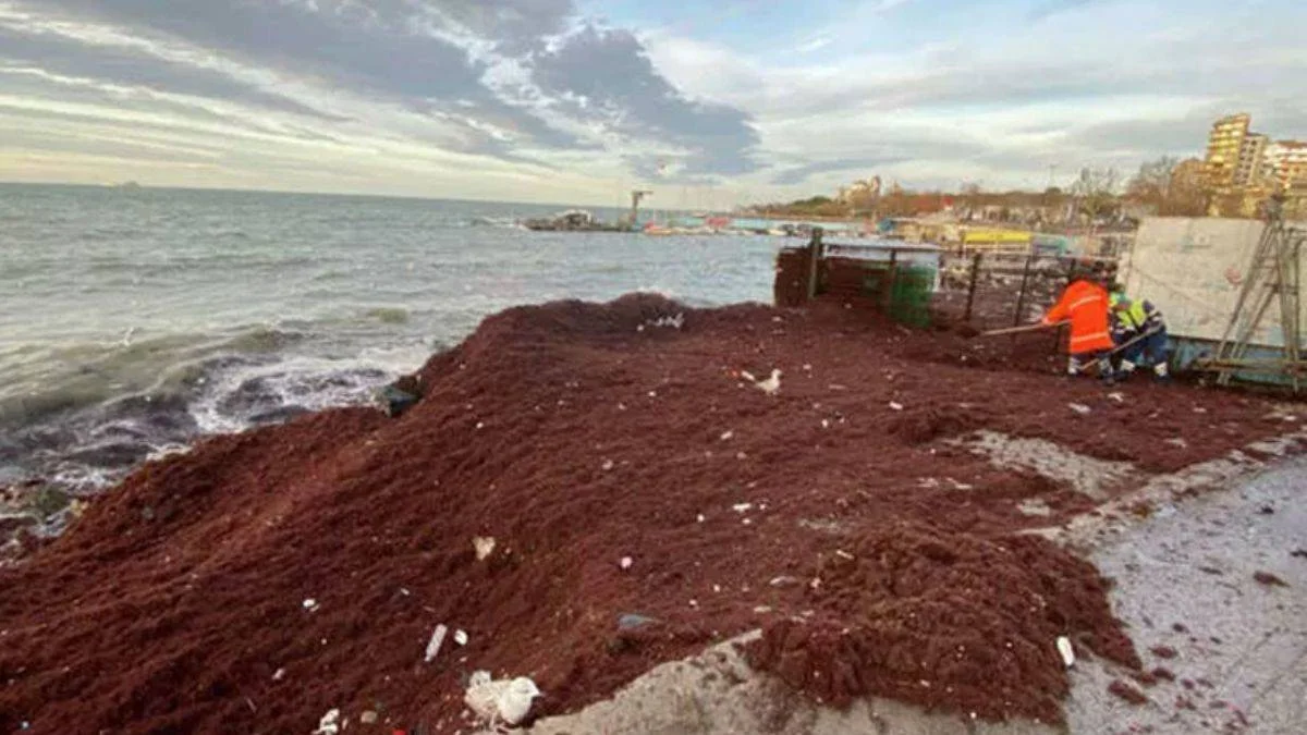 Caddebostan'da sahil kırmızıya büründü