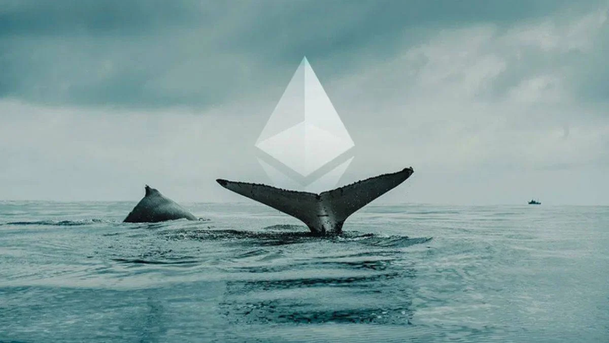 Dev Ethereum Balinası Bu Altcoin'leri Biriktiriyor! 212 Milyon Dolarlık Alım Yaptı