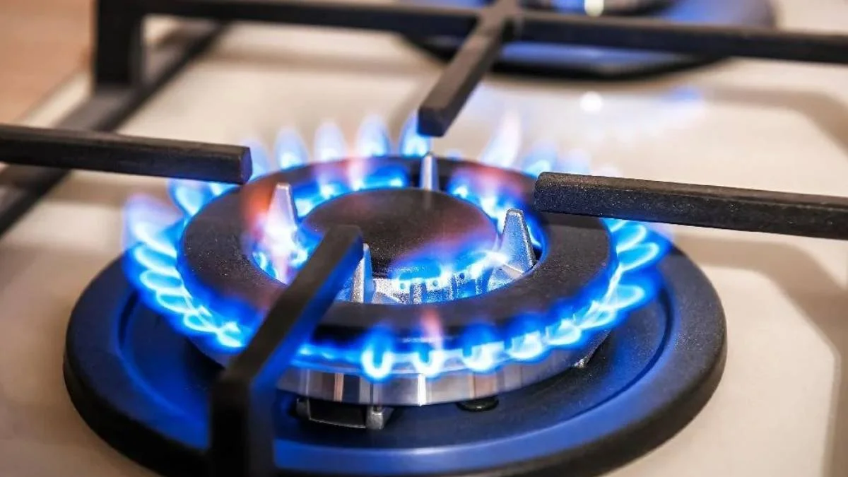 Diyarbakır doğal gaz ne zaman gelecek? Diyarbakır'da doğalgaz hangi ilçelere gelecek?