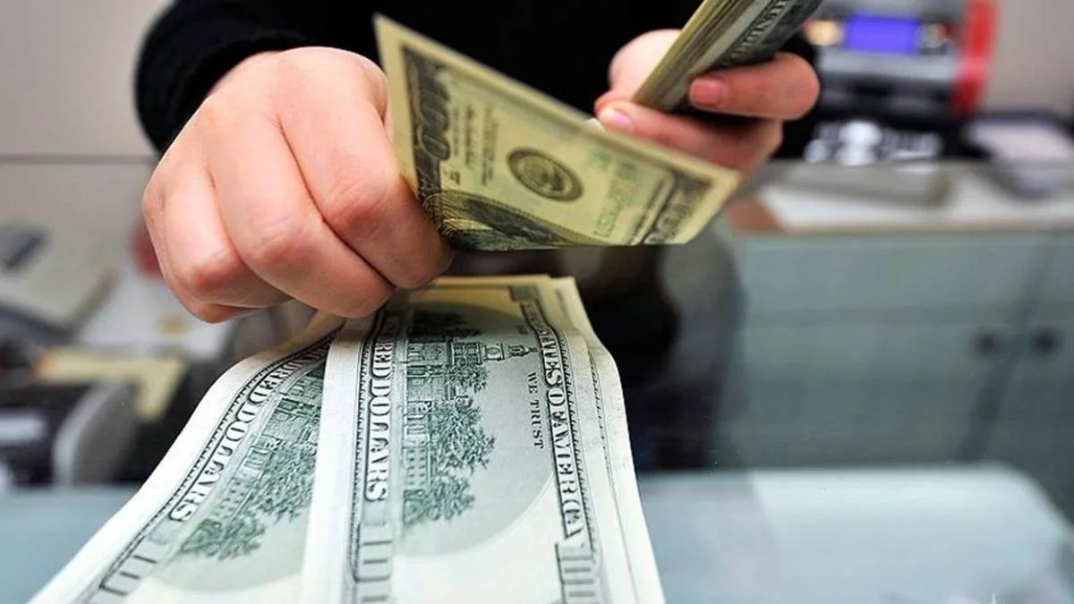 Dövize endeksli mevduat hesabı detayları | Döviz endeksli TL banka hesabı aylık mı yıllık mı olacak?