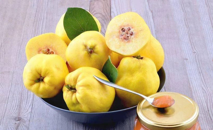 Ev yapımı ayva reçeli nasıl yapılır? Ölçülü Ayva reçeli tarifi