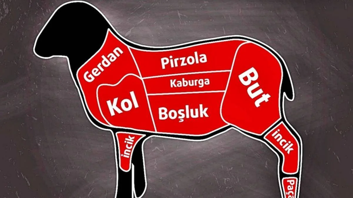 Hangi et, koyunun hangi bölgeden kesilir?
