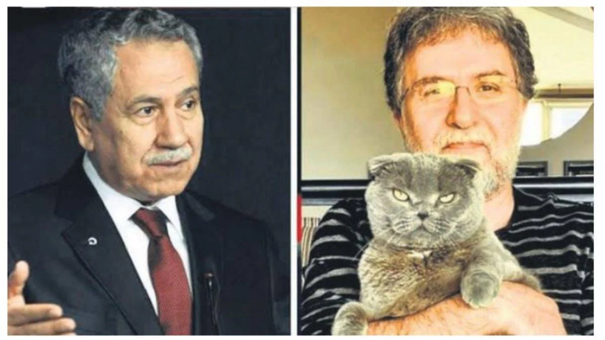 Hangisi daha profesyonel