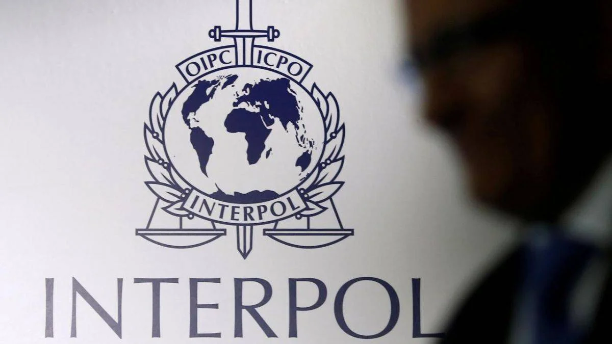 İnterpol nedir? İnterpolun görevleri nelerdir?