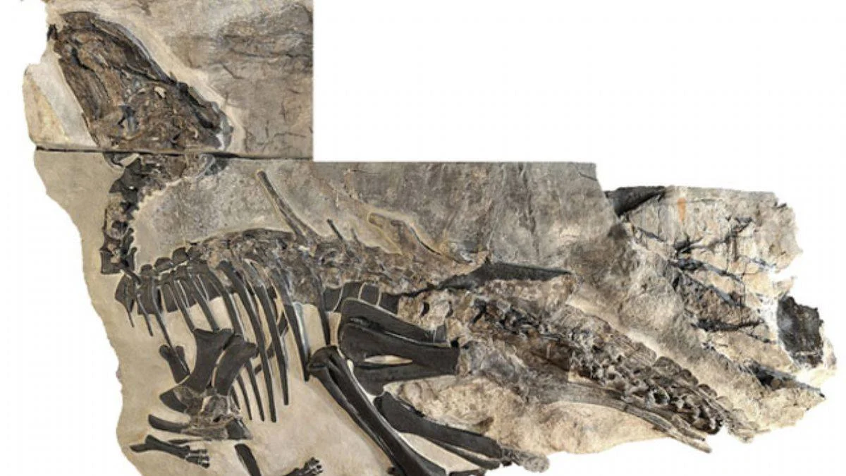 İtalya'da dinozor sürüsü kalıntıları keşfedildi