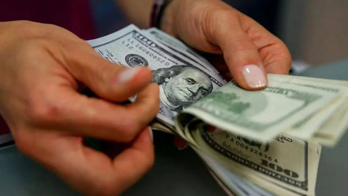 Merkez Bankası'ndan dövize bir müdahale daha