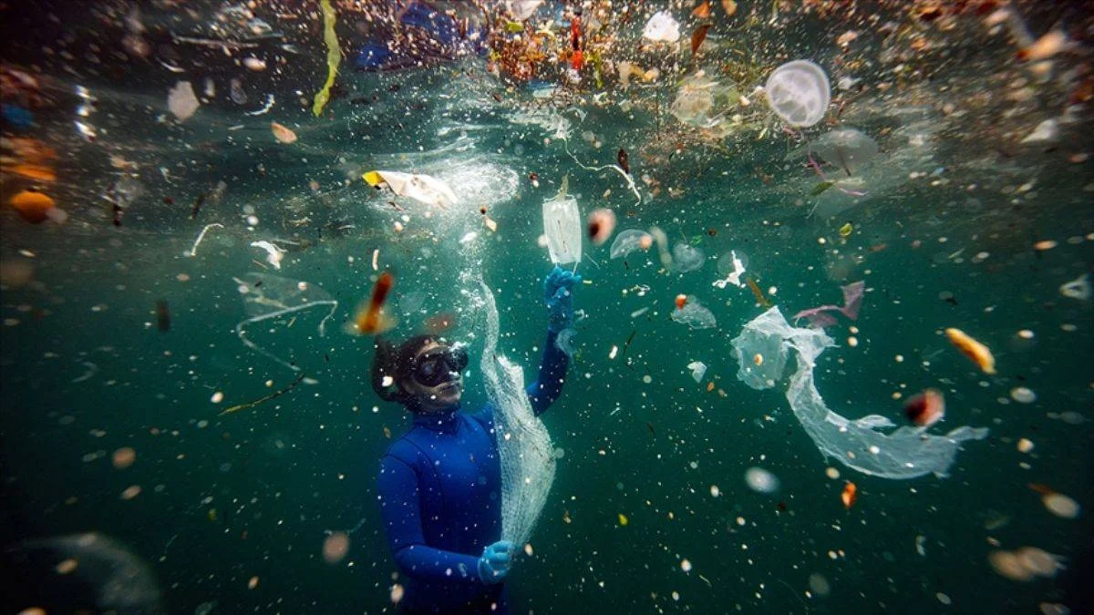 'Okyanuslar için ABD plastik üretimini azaltmalı'