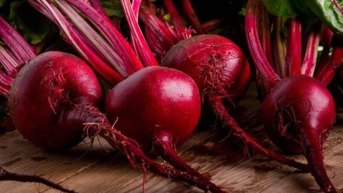 Pancar vücudu zehirli maddelerden temizliyor