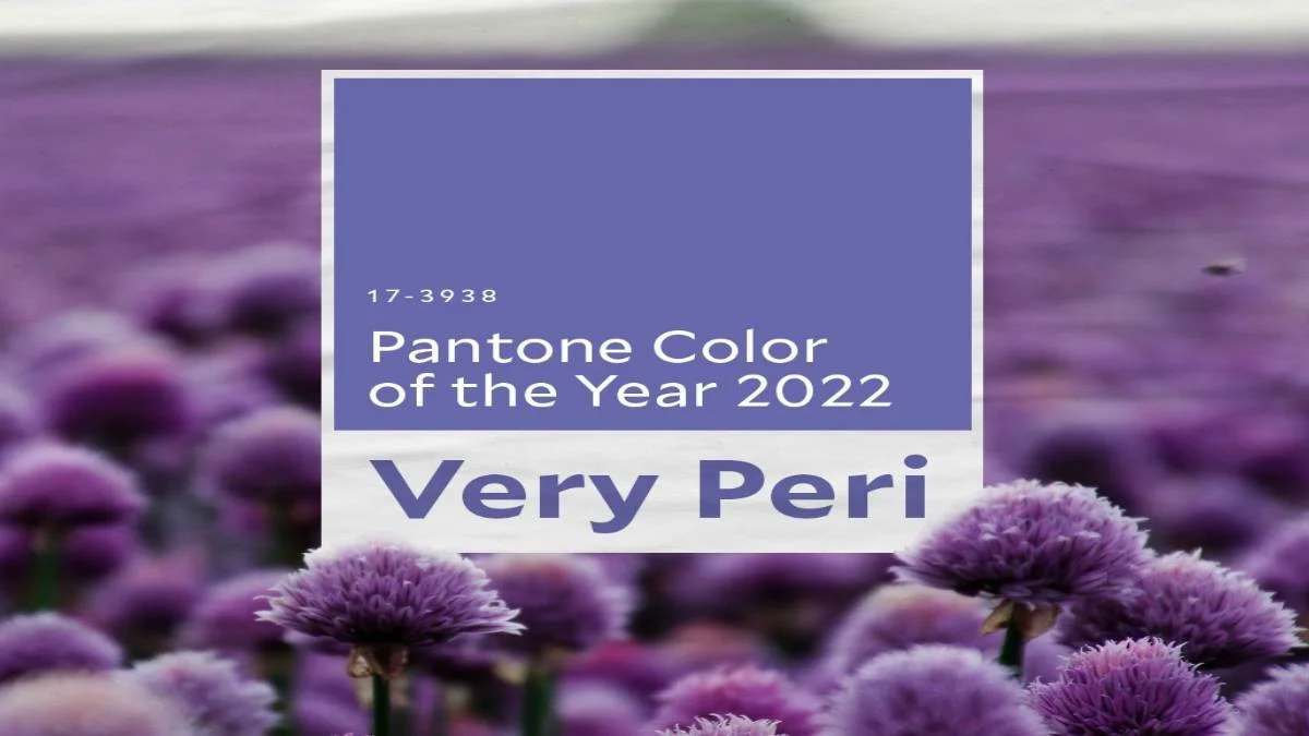 Very Peri rengi nedir? Very Peri rengi nasıl bir renk? Very Peri 2022'nin rengi seçildi