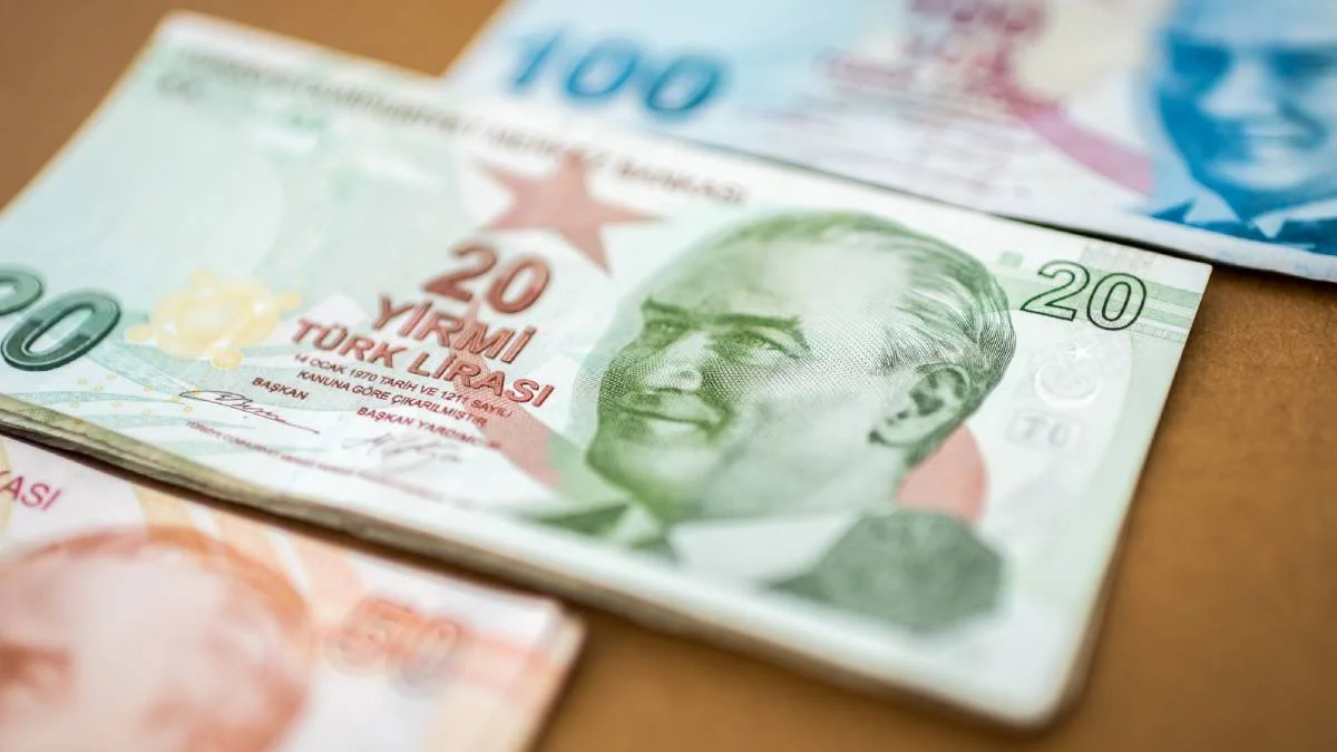 20 TL değişti mi? Yeni 20 TL resmi | 20 lirada banknotta hangi farklar değişiklik var? (E9 Emisyon Grubu VI. tertip)