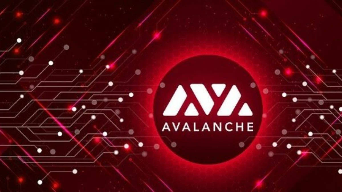 AVAX coin nedir? AVAX coin ne amaçla kullanılır?