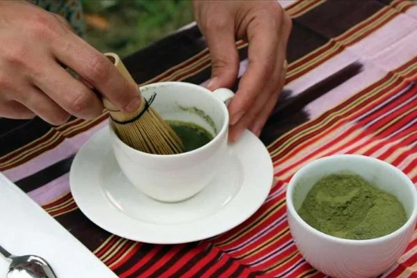 ÇAYKUR çay tohumundan yağ üretimi üzerinde çalışıyor