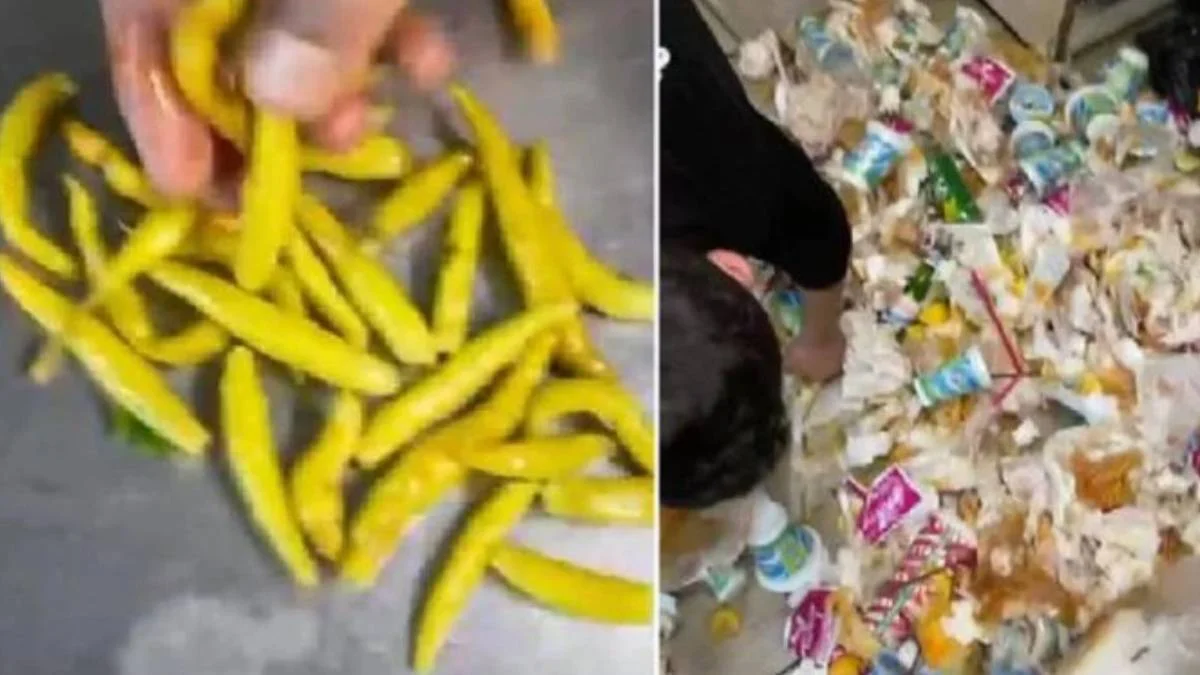 Çöpten biber toplayan tantunici hangisi, nerede? Kadıköy'de çöpten biber toplanan tantuni restoranı adı ne?