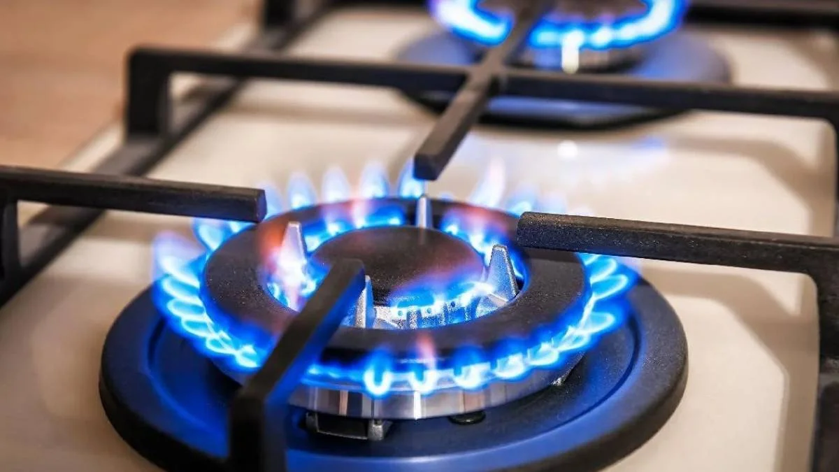 Doğalgaz fatura desteği başvurusu nasıl yapılır? Doğal gaz fatura yardımı kimlere verilir nasıl alınır?