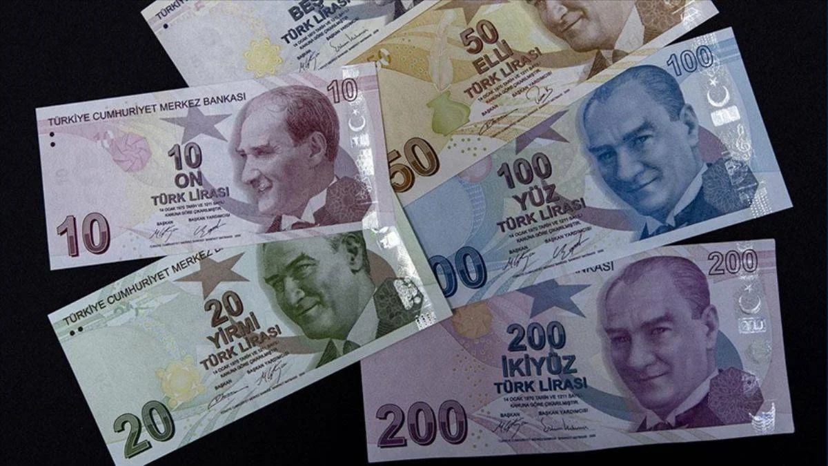 Dövize karşı Liralaşma stratejisi; Yeni düzenlemeler yolda