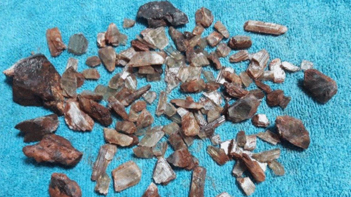 Elmastan değerli! Milas'ta diaspor taşı ele geçirildi