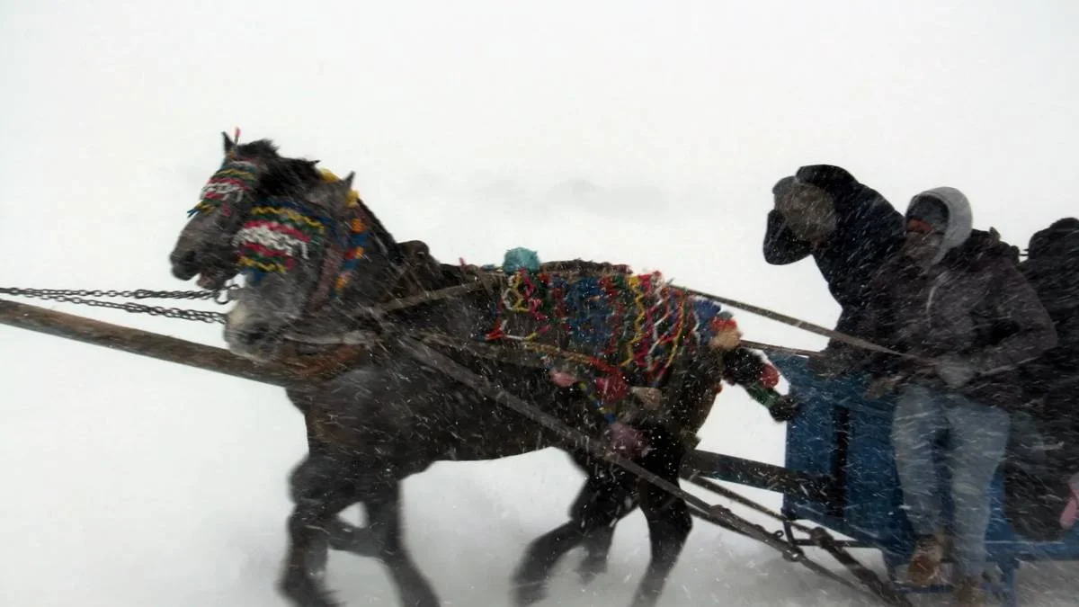 ''Eskimo usulü'' balık avlayan CHP'li başkanlar tipiye yakalandı