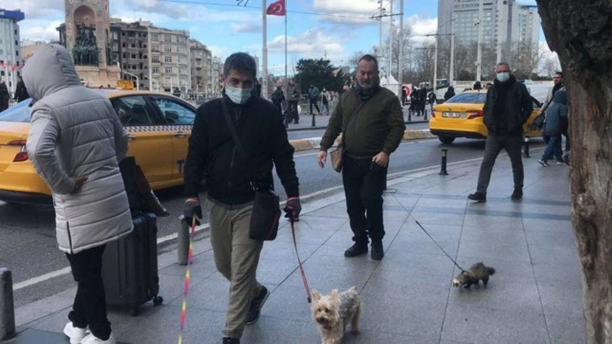 Gelinciğe tasma takıp Taksim'de gezdirdi; görenler şaşkına döndü